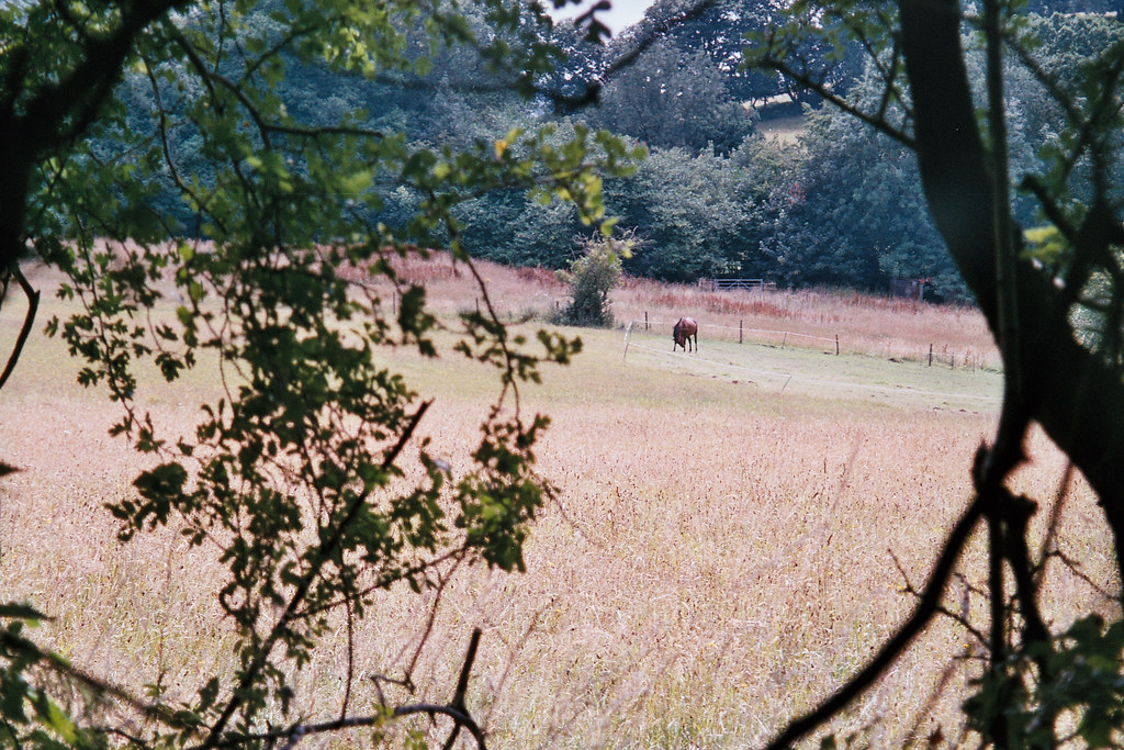 Konica AiBORG