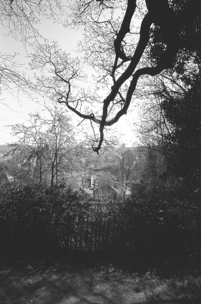 View over the local allotments