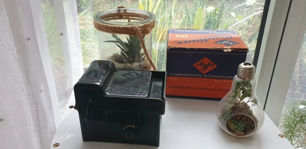 Agfa Rondinax developing tank with its box and some house plants