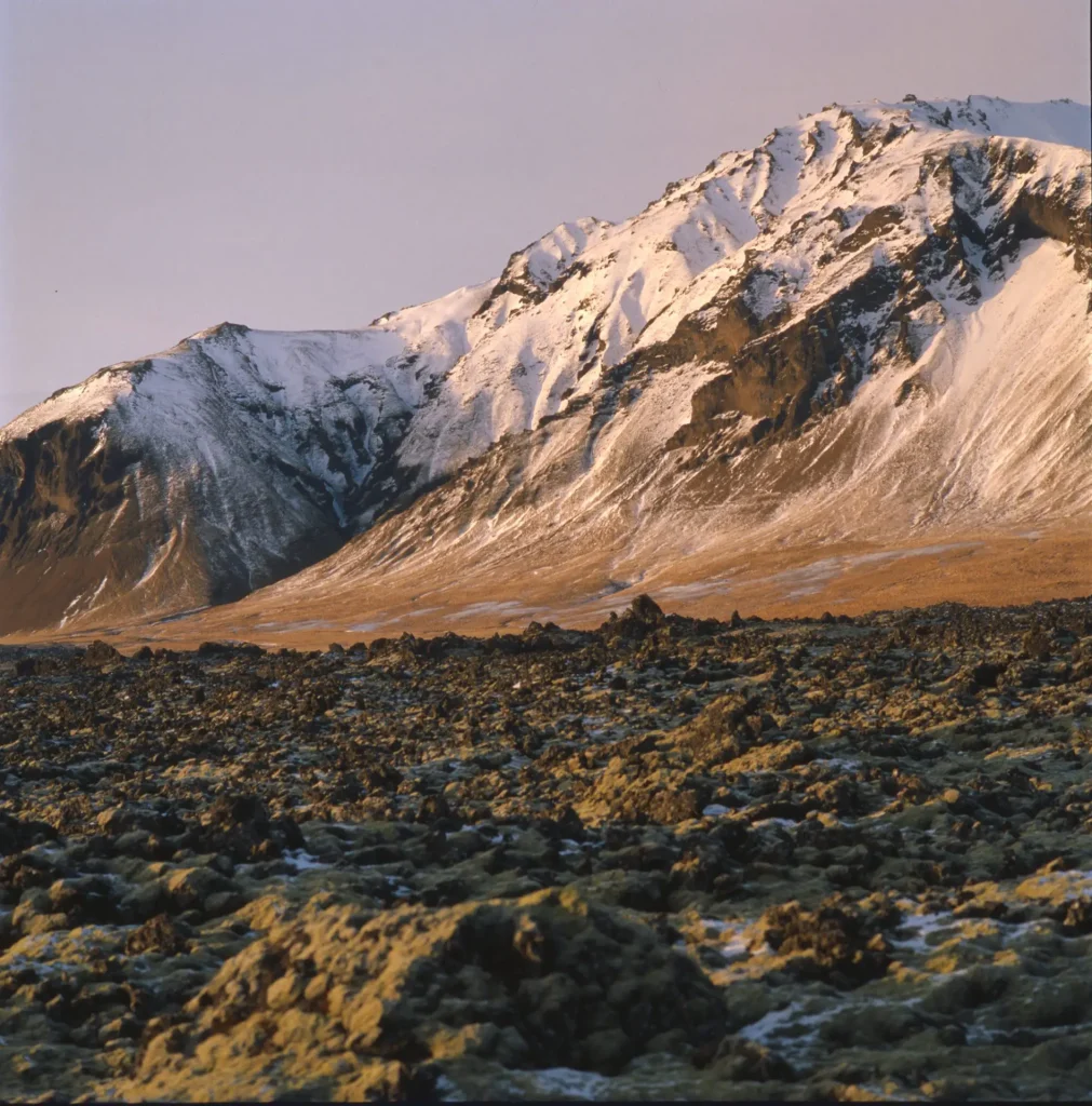 Moss and Mountains of Iceland