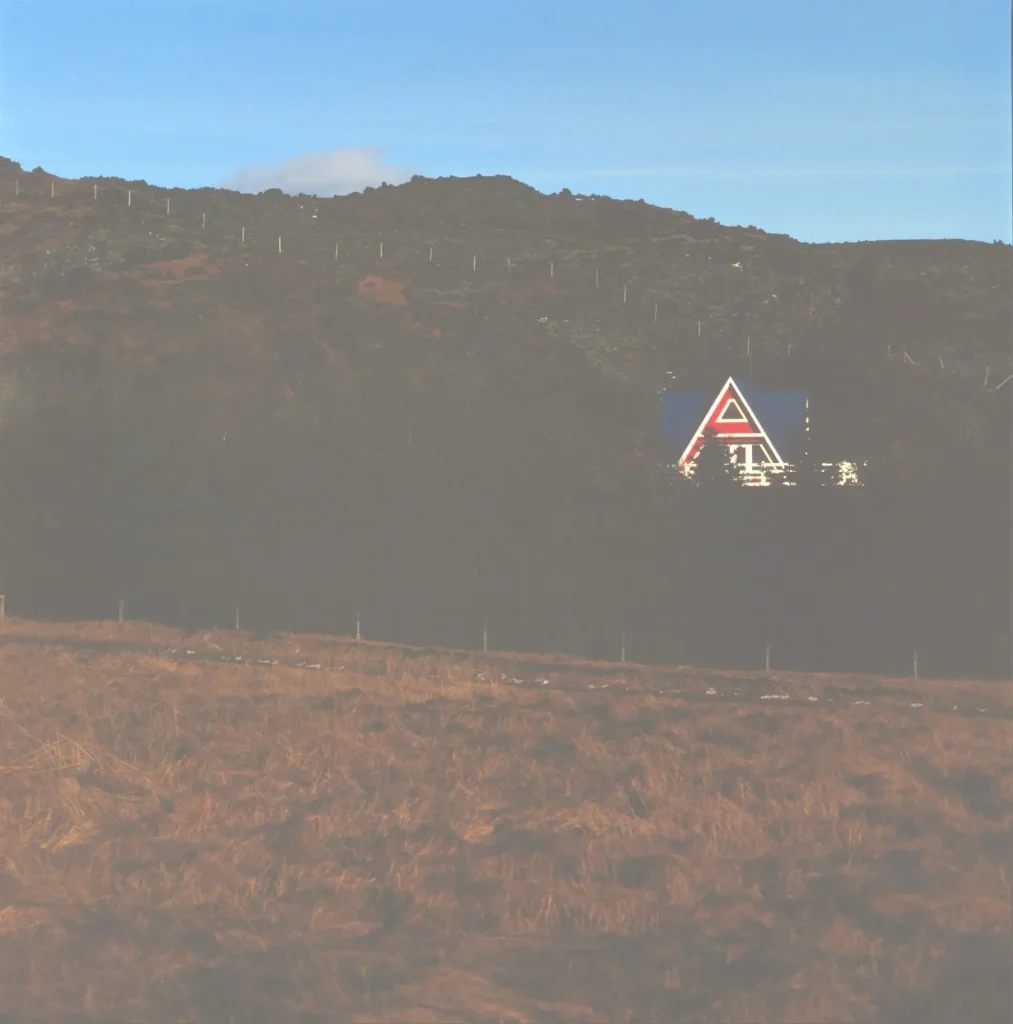 Blue house in the trees