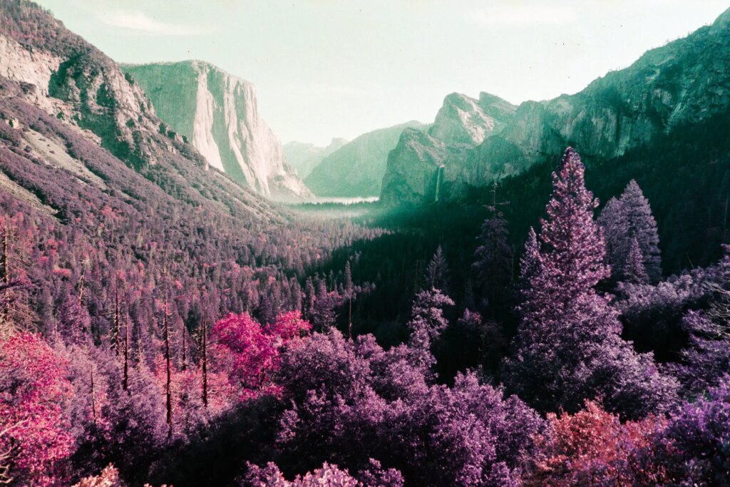 landscape taken on the LomoChrome Purple 2021 Pétillant Film