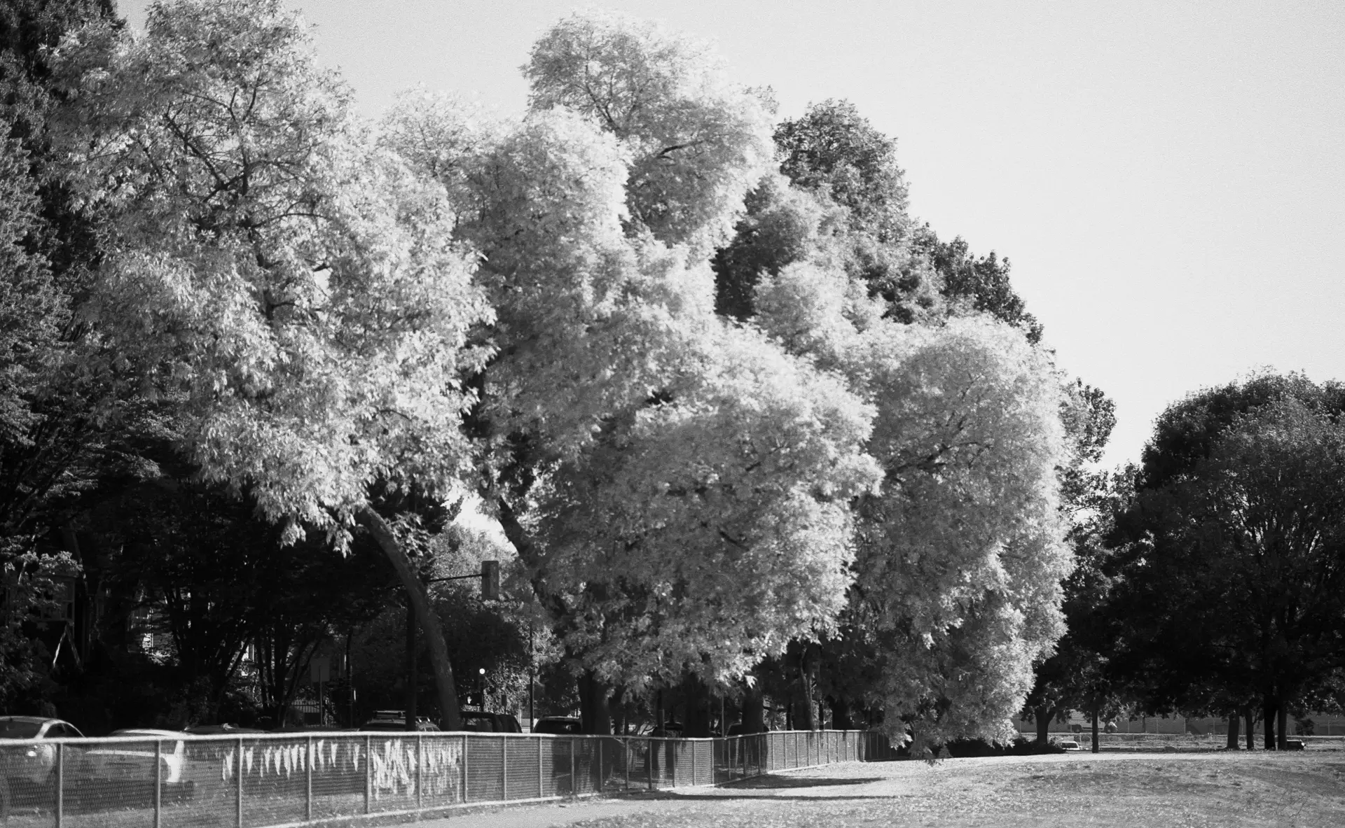 Strathcona Park