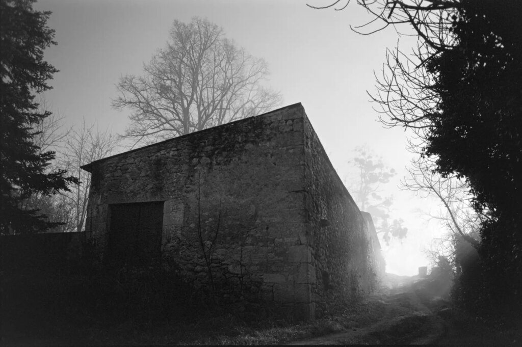 black and white photo. Wide-angle shot of a house surrounded by trees