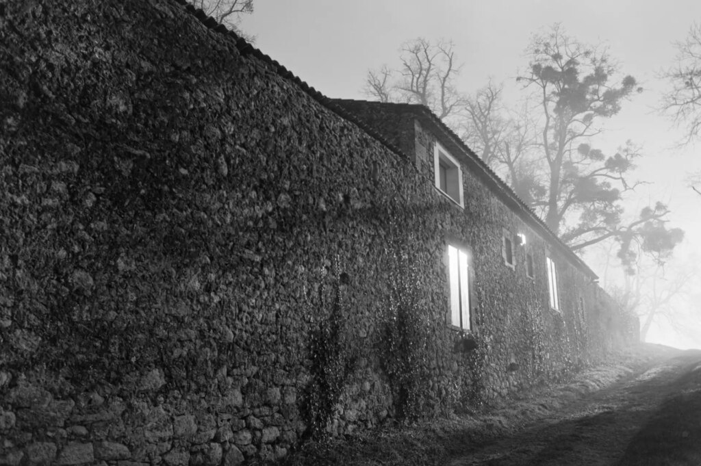 house in the fog with the sun reflecting off the shutters