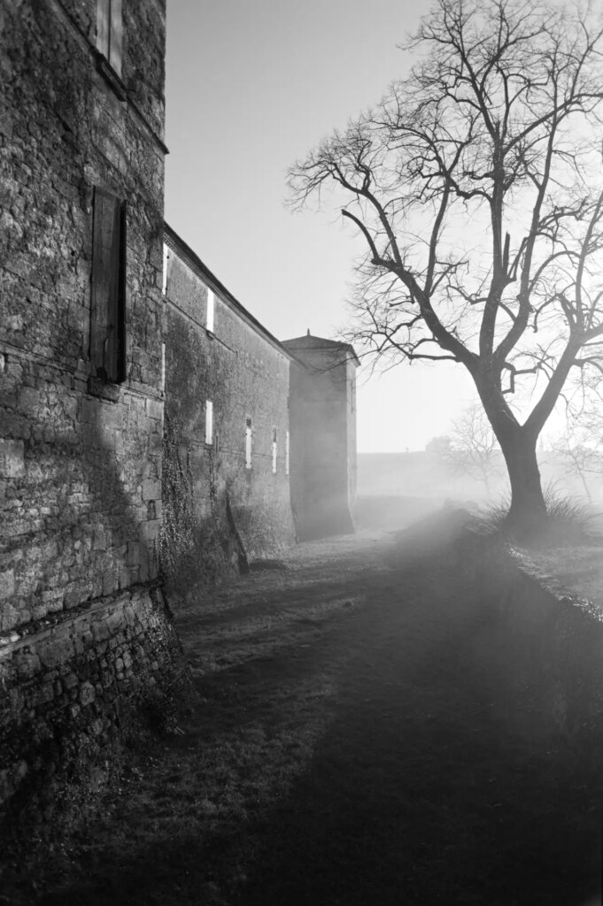 black and white photo of a chateau and a tree in the fog