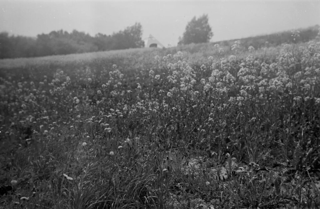 Goerz Tenax test film 2