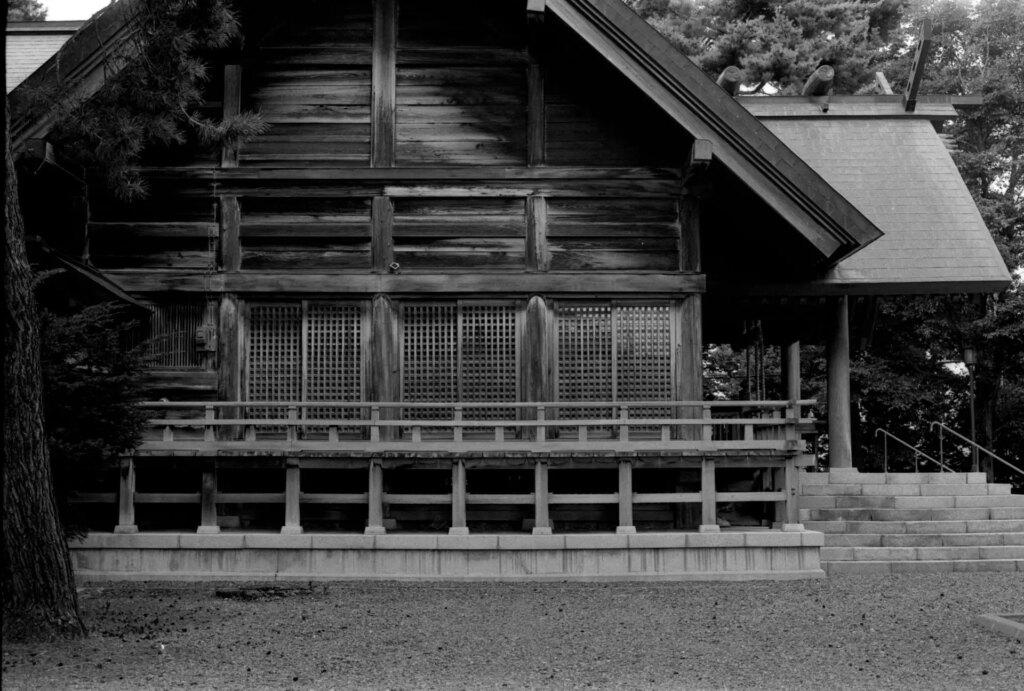 AgfaPhoto APX 100 Furano