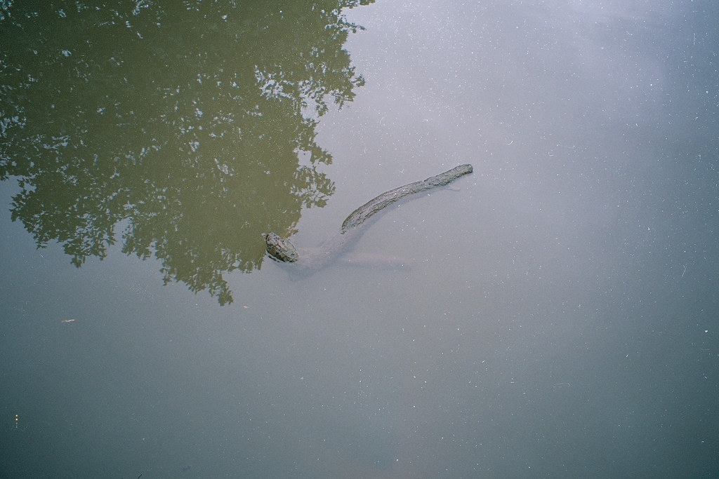 Olypmus mju-iii zoom 100