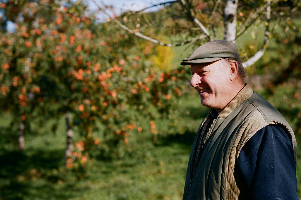 Wilces Cider