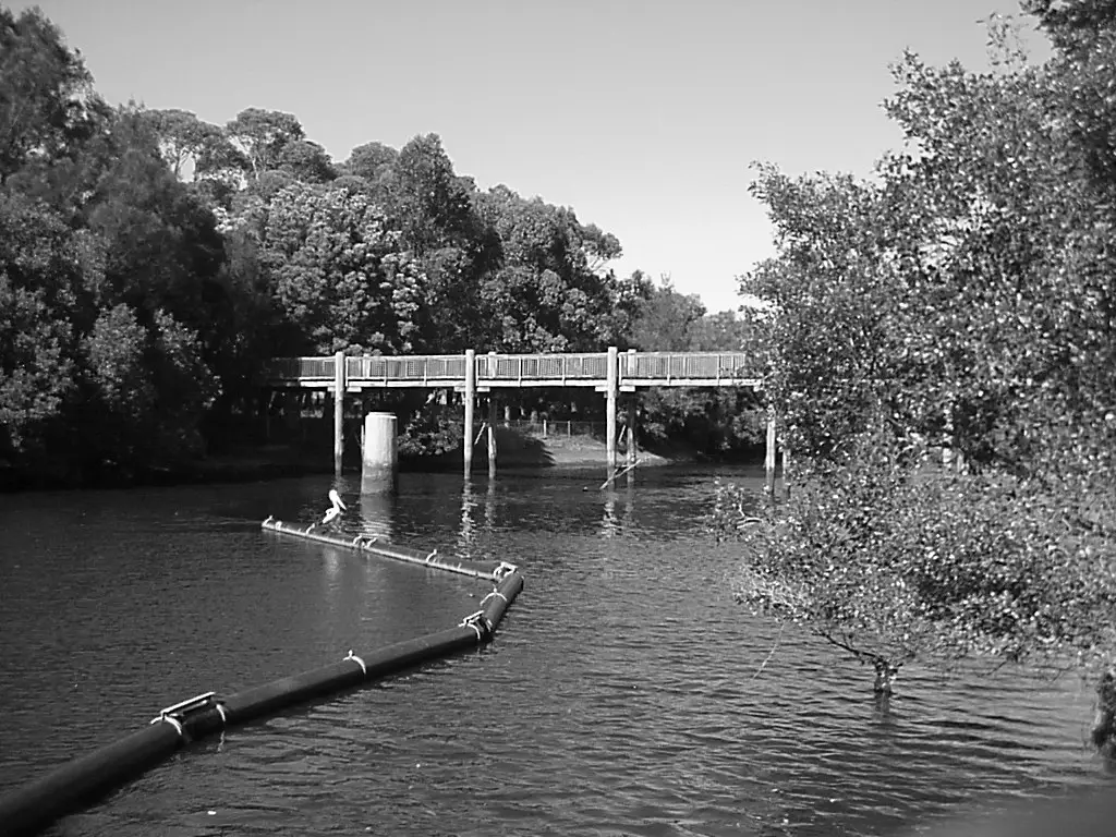 Green layer of a bridge and river