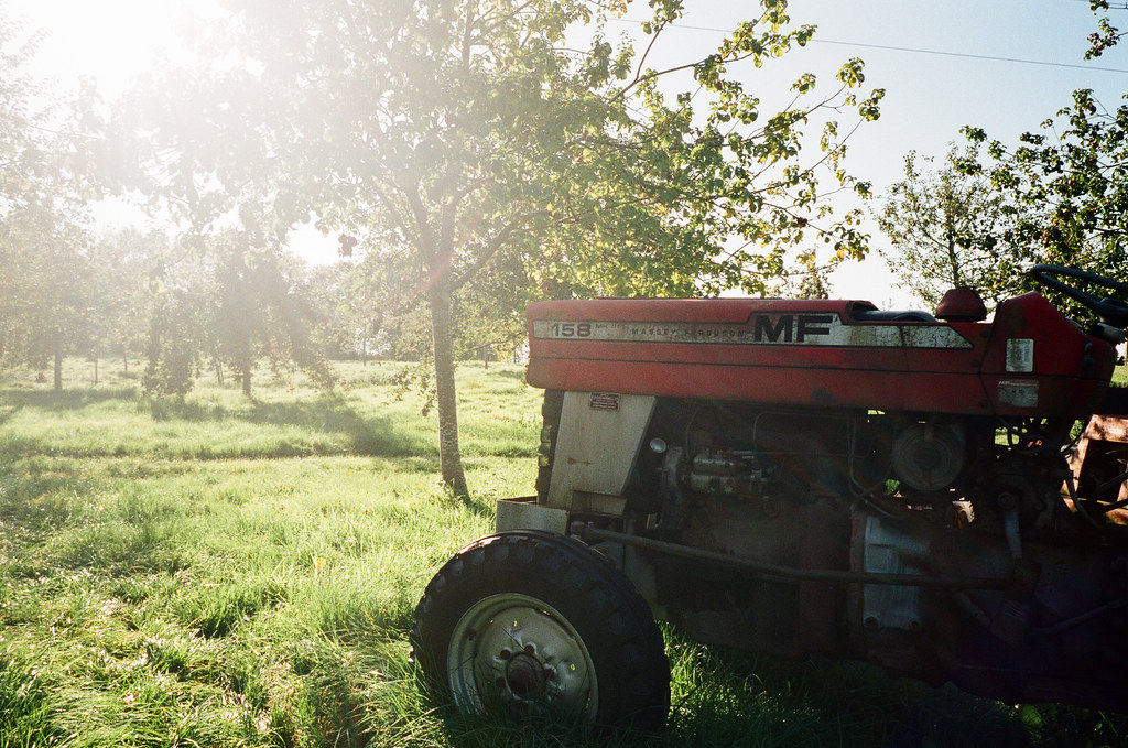 Wilces Cider