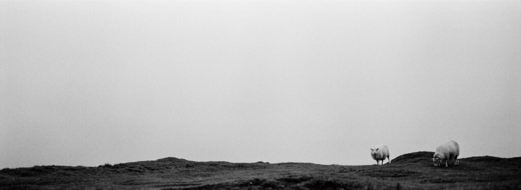 Clee Hill - Xpan, HP5 + 2