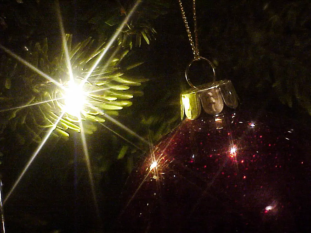 Red bauble on a Christmas tree