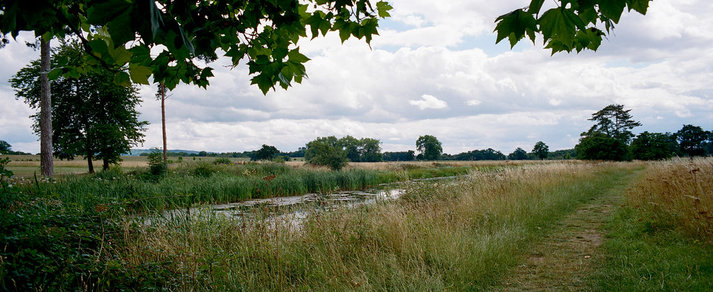 Xpan ii & 35mm Nikon PC shift lens