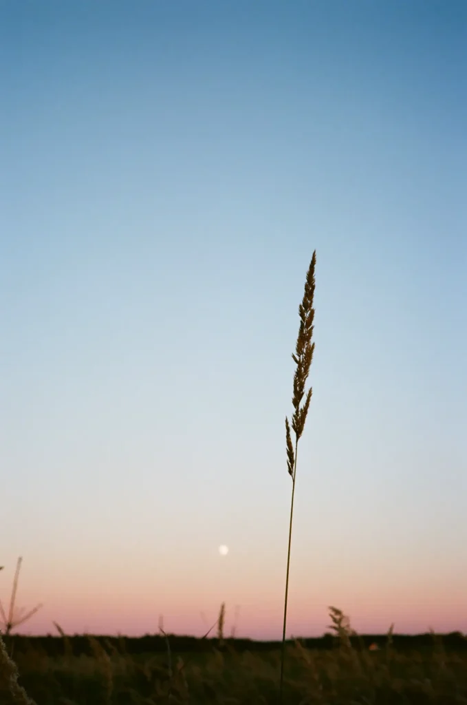 sunset Fuji Klasse S Kodak Ektar 100