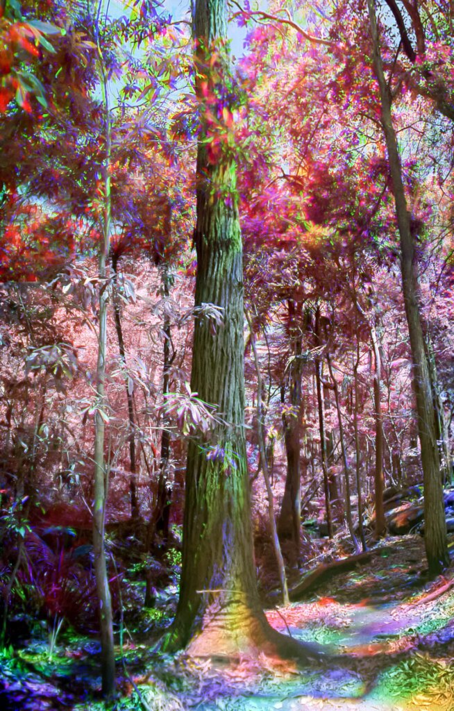 Infrared trichrome vertical panorama of a tree in a forest
