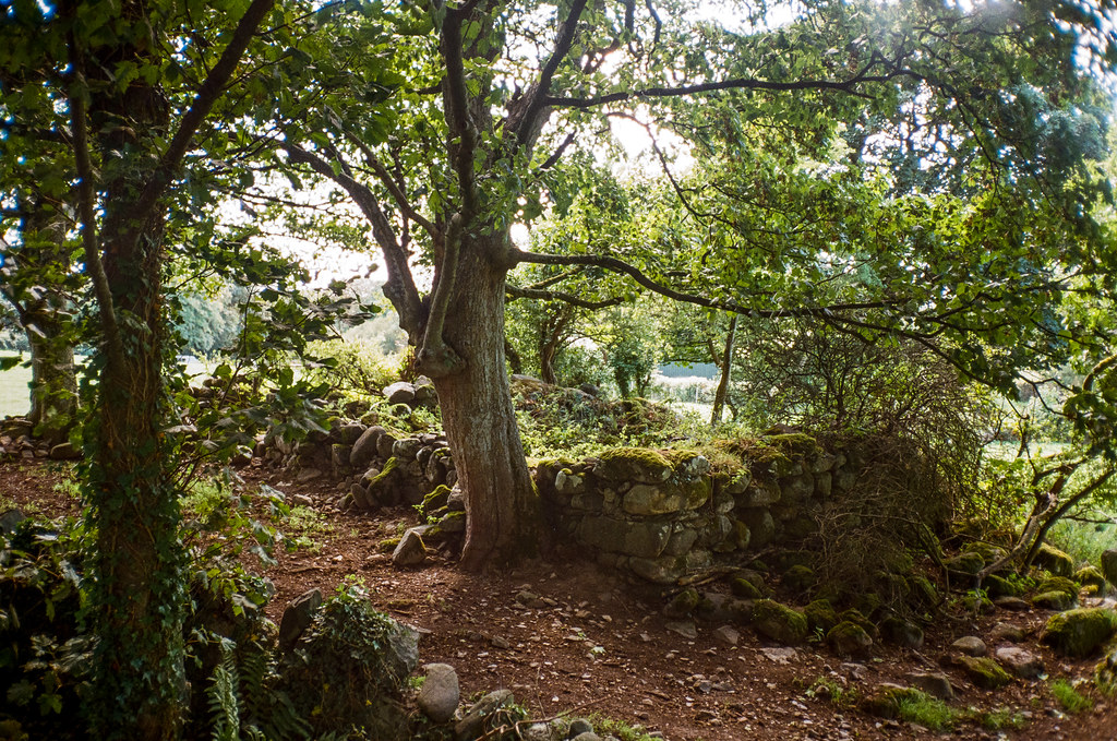 Wales 2018