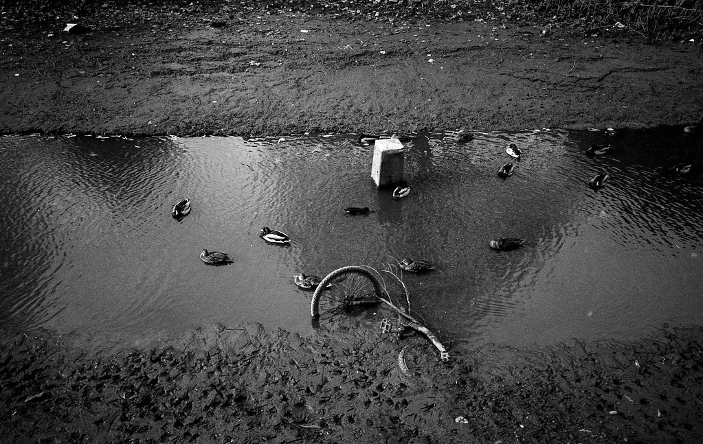 Drained Canal