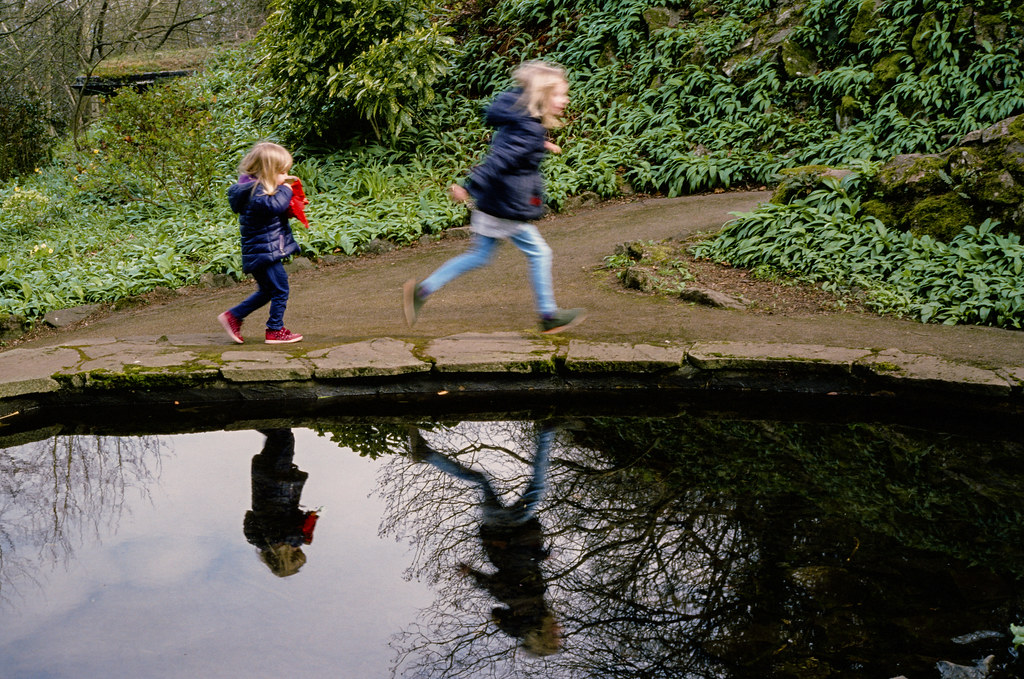 First Roll of Ektachrome