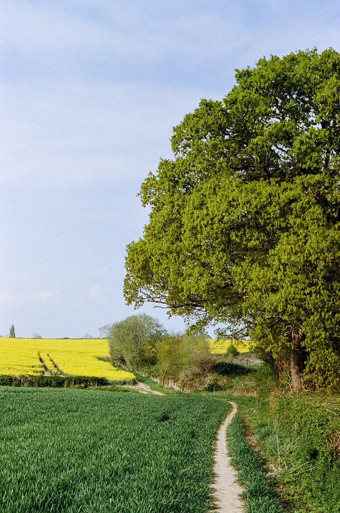 Lower Broadheath