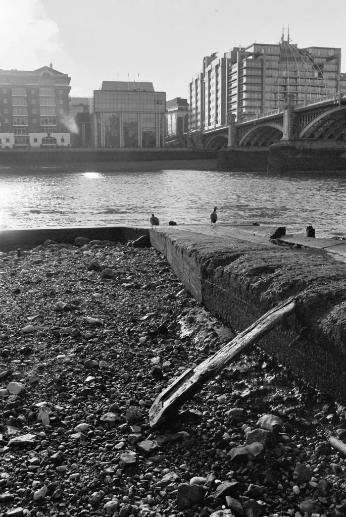 Thames Foreshore