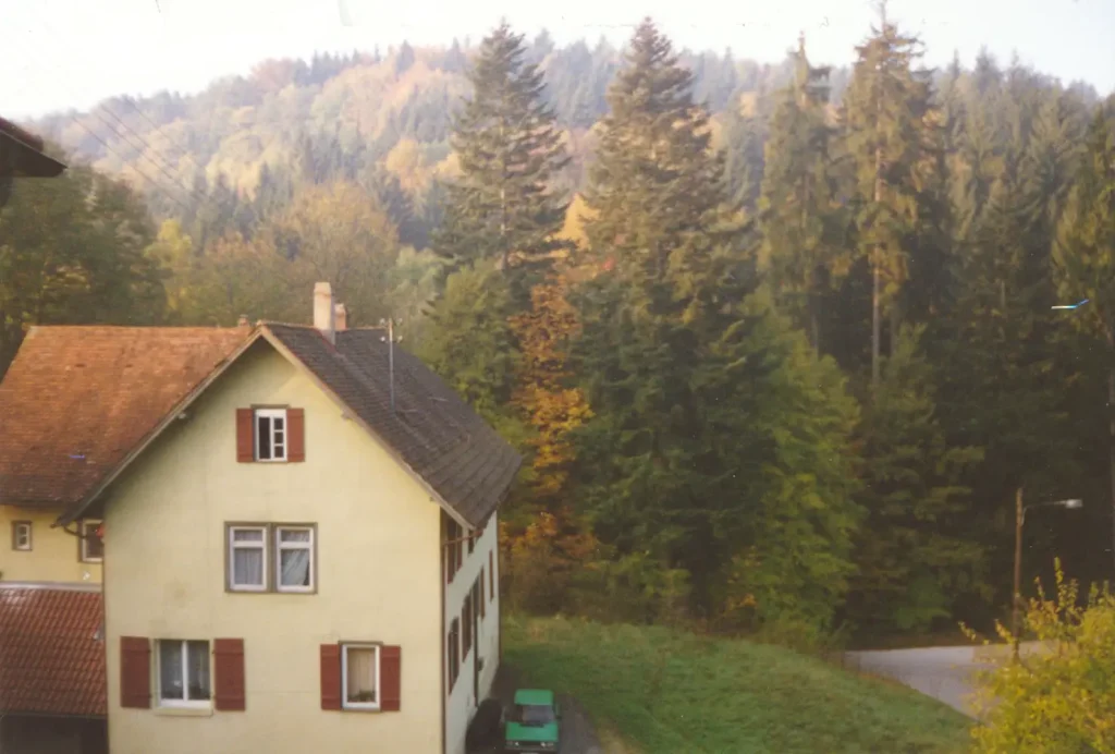 house and trees in Germany
