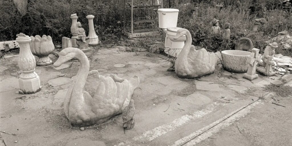 Concrete cast swans