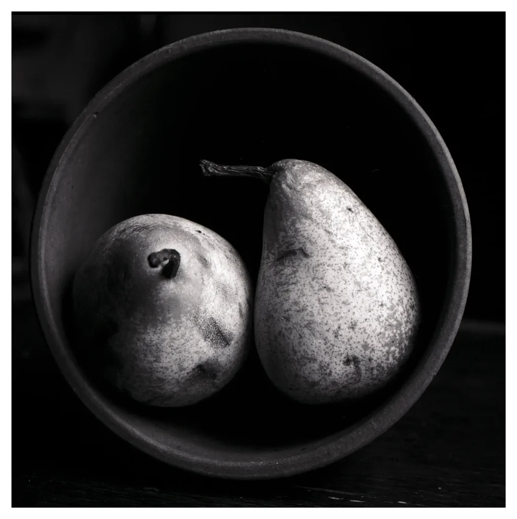 Two pears in a plant pot. Black and white