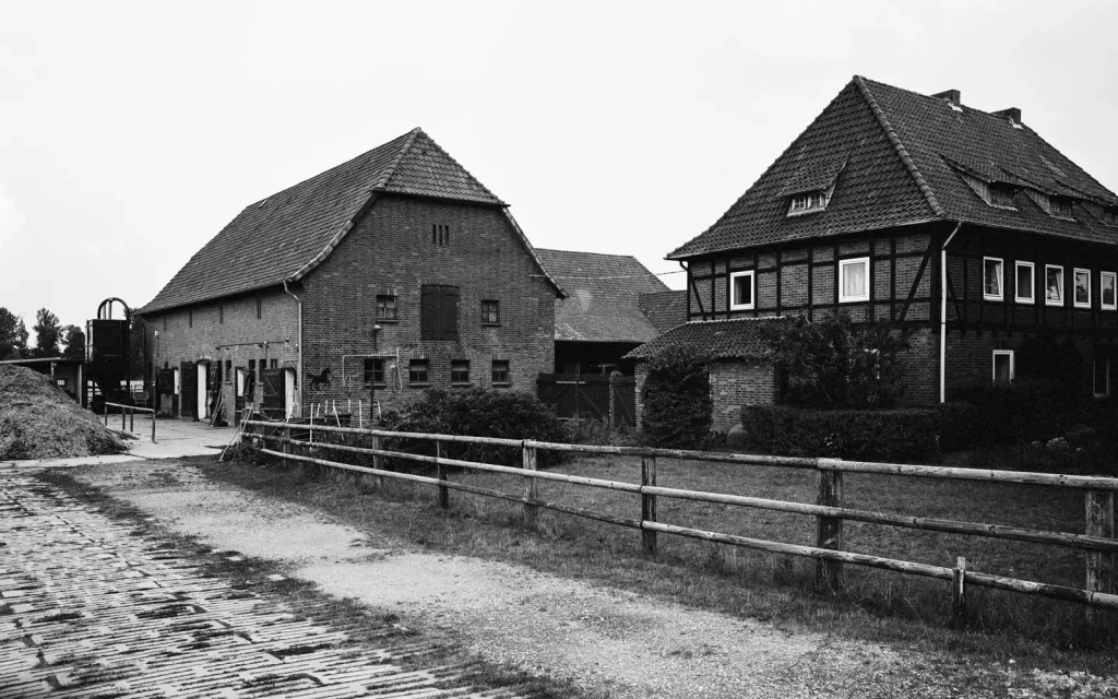houses of a stud farm