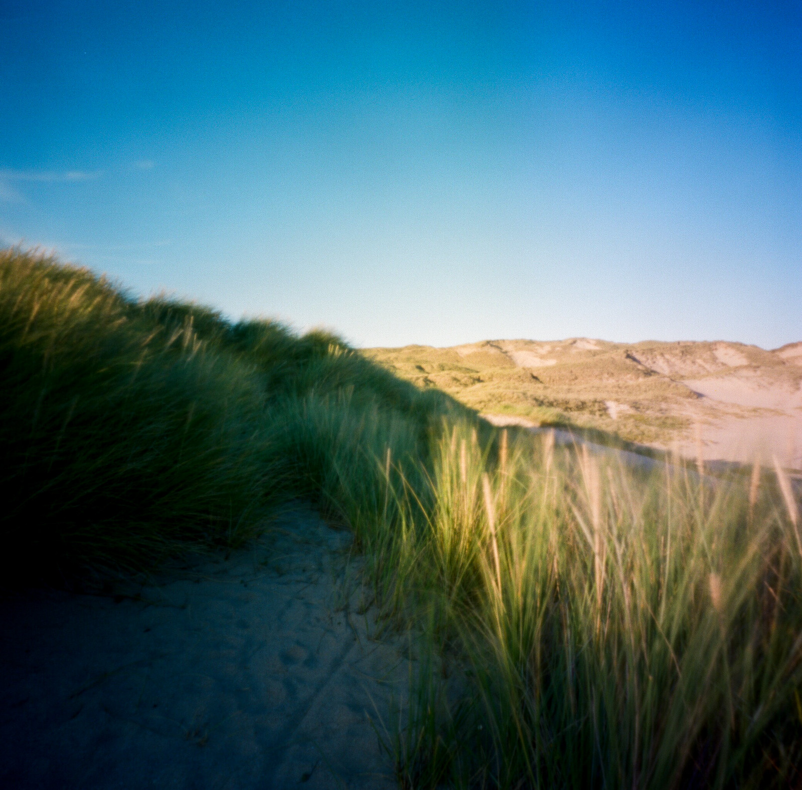 Holywell bay