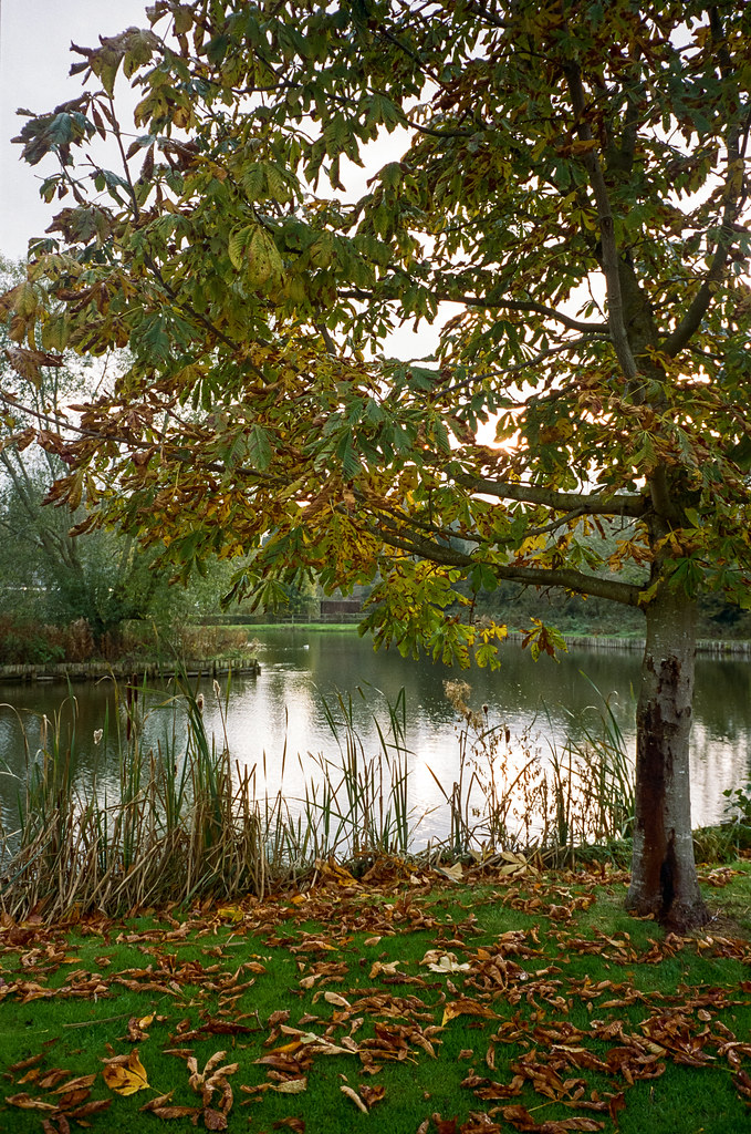 Autumn lake