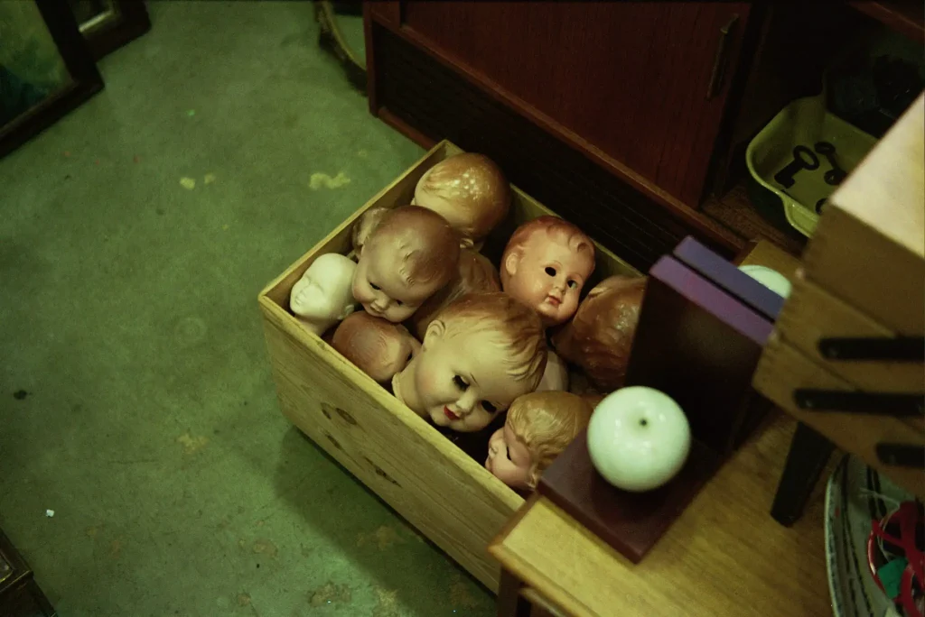 Dolls Heads