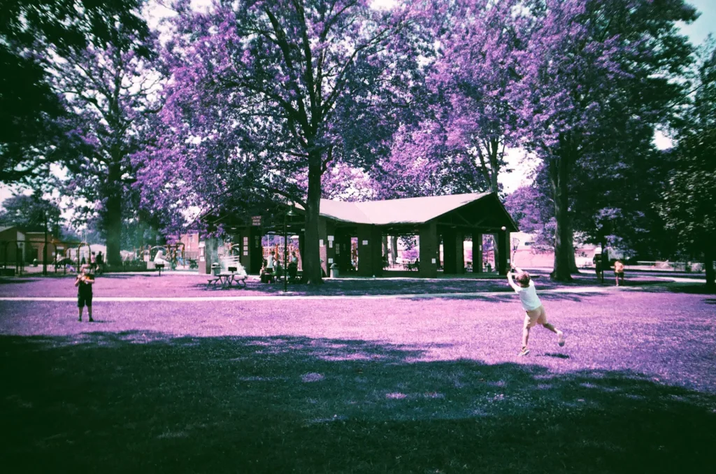 Boys in a park playing lacrosse