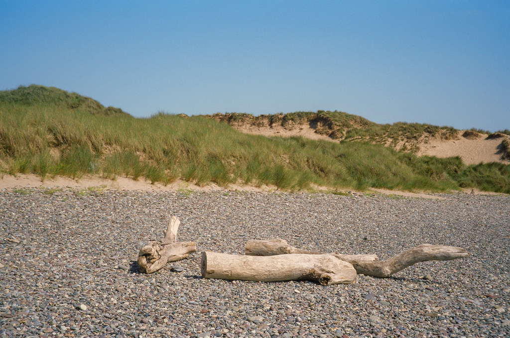 Wales 2019