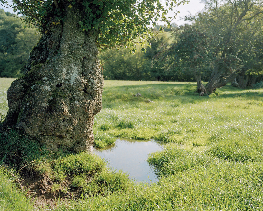 Longtown Countryside