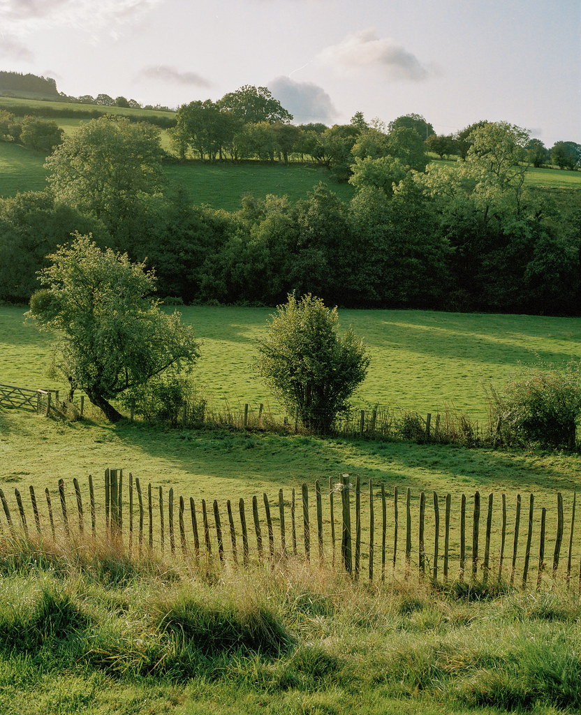 Longtown Countryside