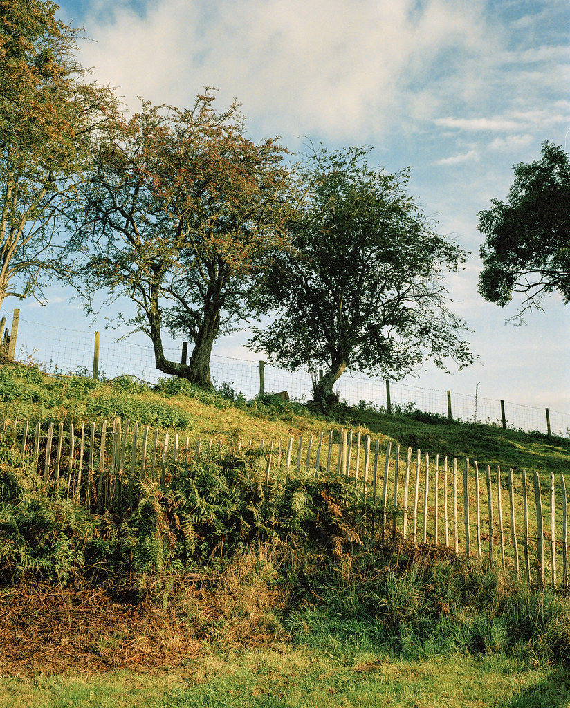 Longtown Countryside