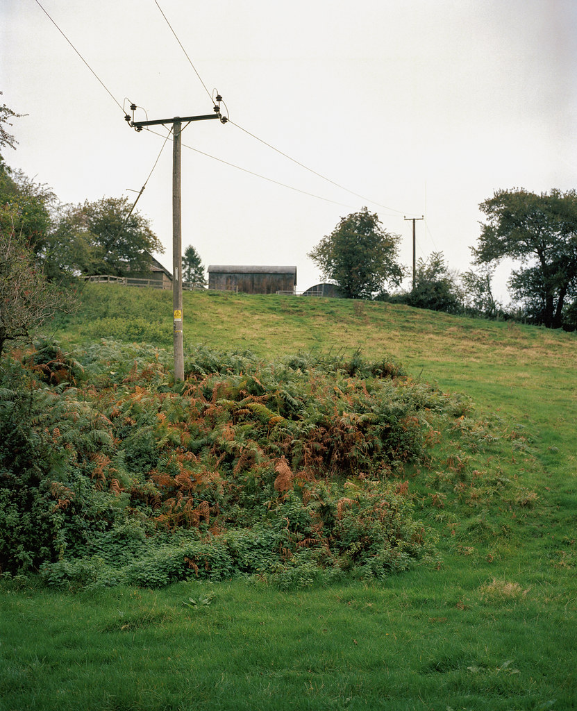 Longtown Countryside