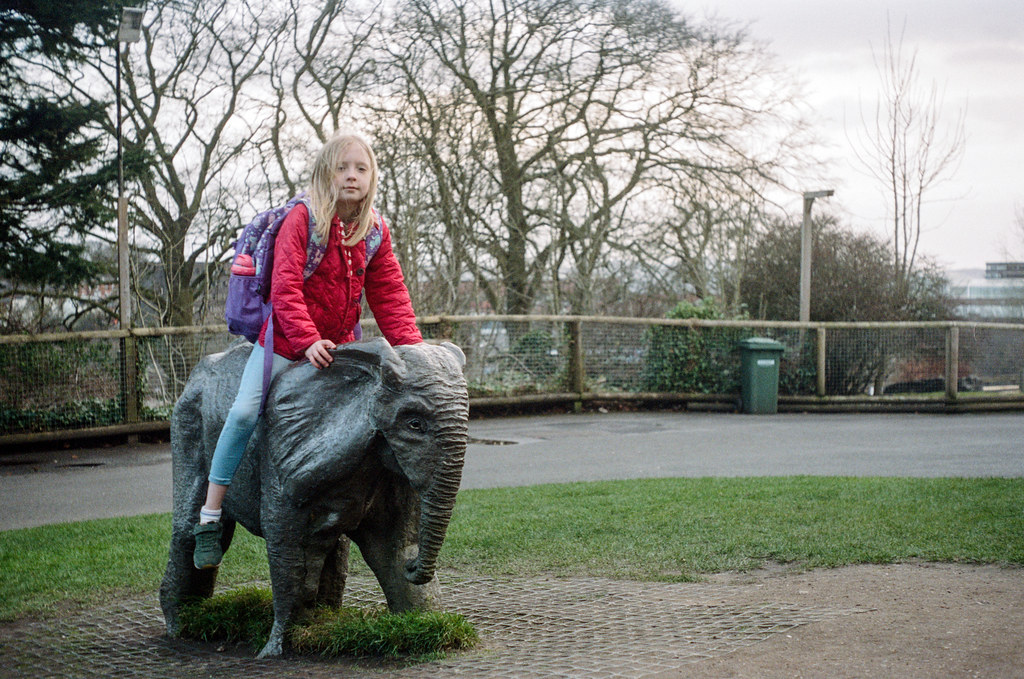 Dudley Zoo