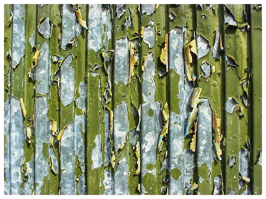 Olive green pain peeling off corrugated metal
