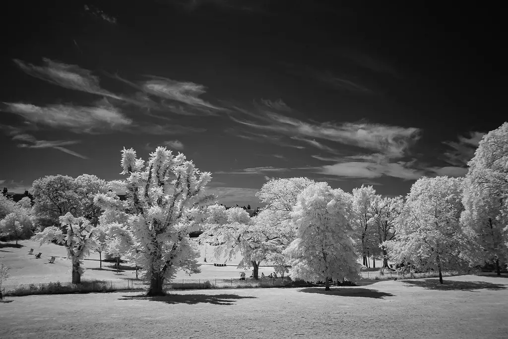 Fujifilm X-Pro1 (converted to 850nm infrared)