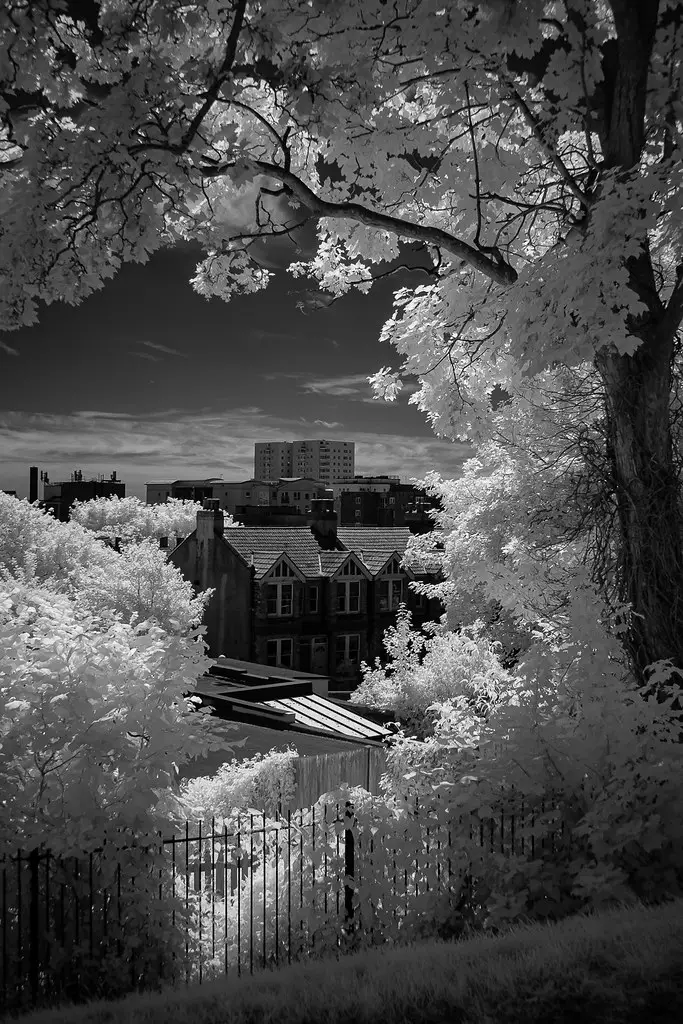 Fujifilm X-Pro1 (converted to 850nm infrared)