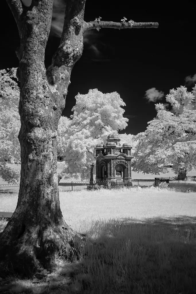 Fujifilm X-Pro1 (converted to 850nm infrared)