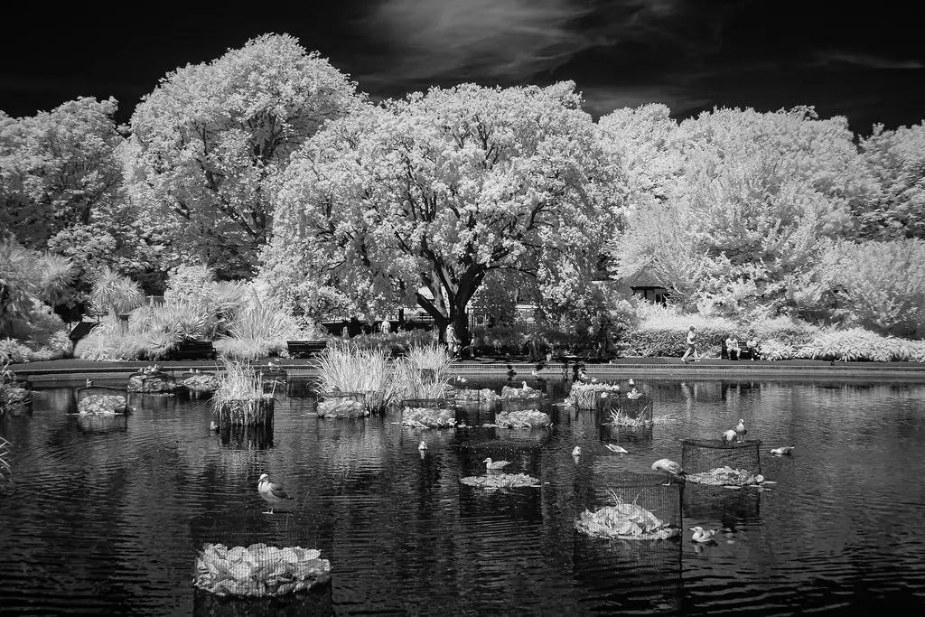 Fujifilm X-Pro1 (converted to 850nm infrared)