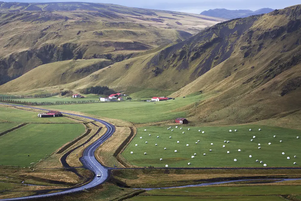 haybails in green fields of iceland 