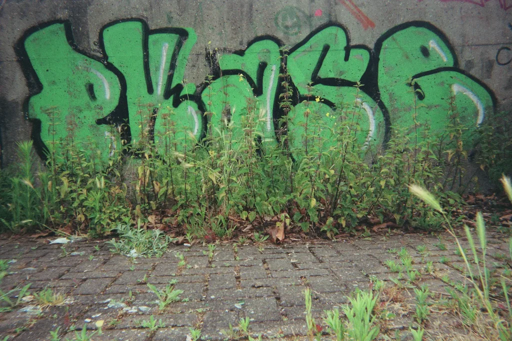 photo of urban art in green letters