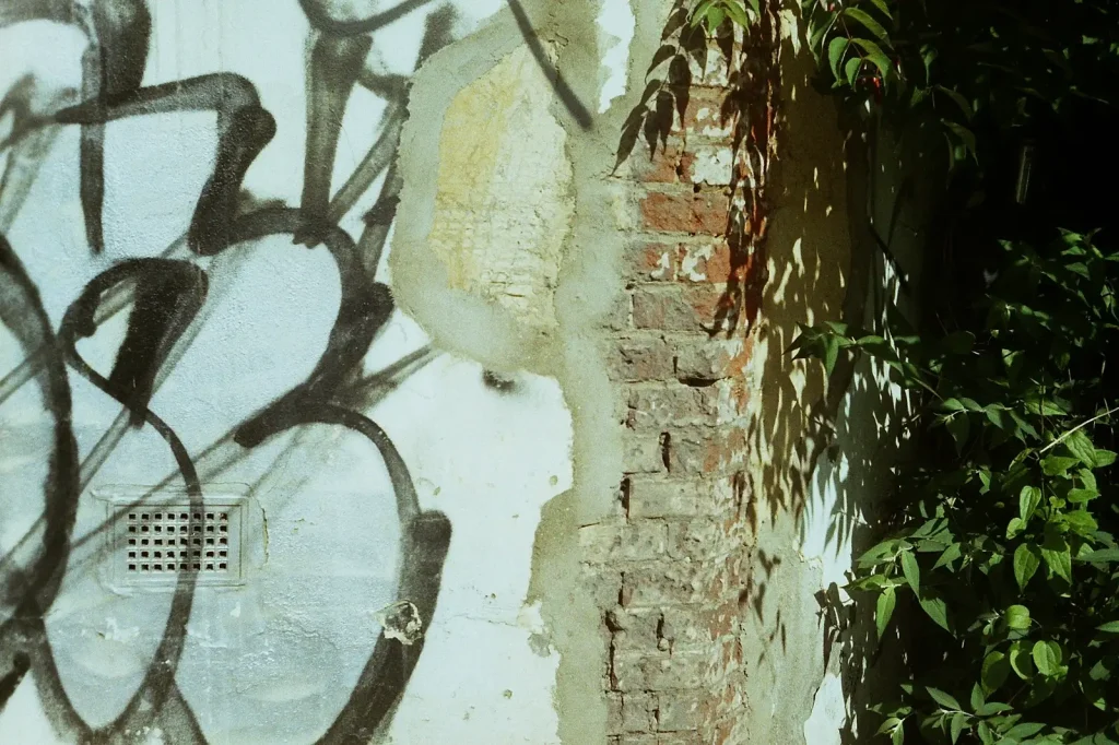 photo of graffiti on wall