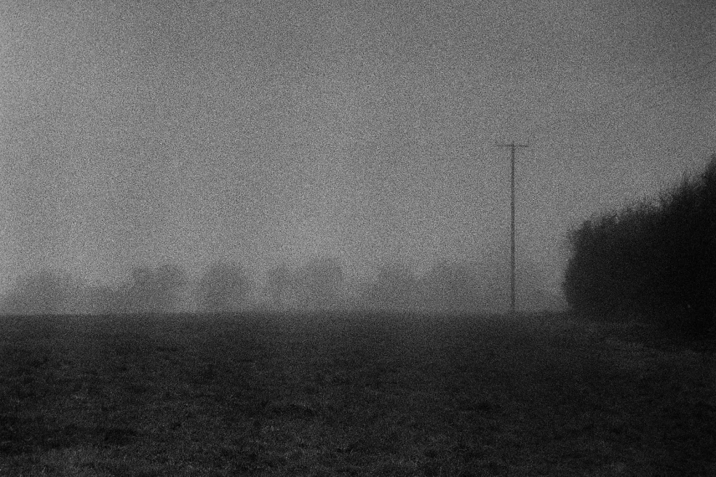 b/w landscape photo on a misty day
