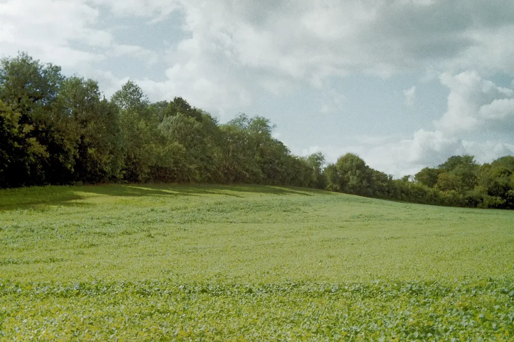 colour photo of countryside